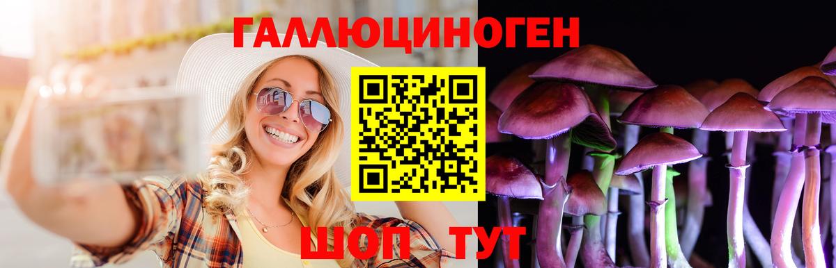 Волоколамск  Псилоцибиновые грибы мицелий  Псилоцибиновые грибы Cubensis  Вход с VPN 