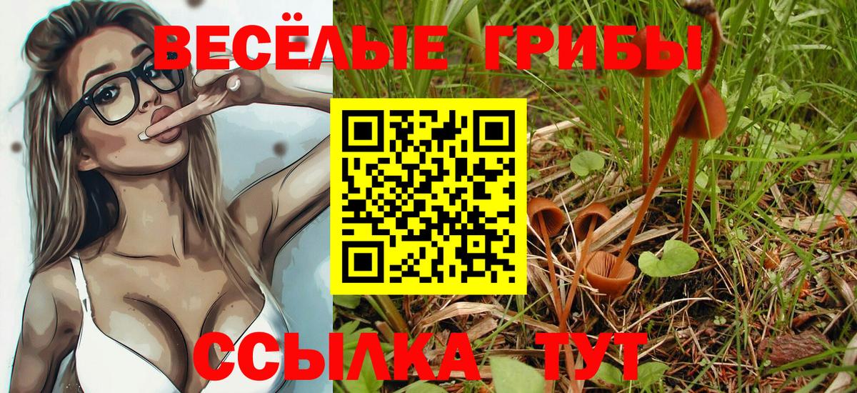 Псилоцибиновые грибы Cubensis Волоколамск